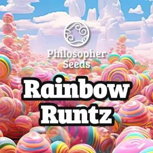 Rainbow Runtz Fem Promo de Philosopher Seeds