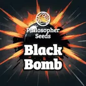 Promo Black Bomb