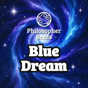 Blue Dream - Philosopher Seeds