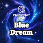 Blue Dream - Philosopher Seeds