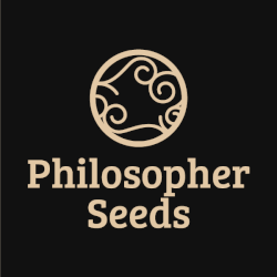 Graines Philosopher Seeds
